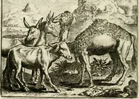 Picture 91 of 128 from Vorstelijcke warande der dieren : waer in de zeden-rijcke philosophie, poëtisch, morael, en historiael, vermakelijck en treffelijck wort voorgestelt : mit exempelen uyt de oude historien, in prose : ende uytleggingen, in rijm verklaert (1682), leaf 189