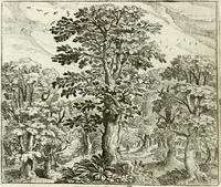 Picture 6 of 128 from Vorstelijcke warande der dieren : waer in de zeden-rijcke philosophie, poëtisch, morael, en historiael, vermakelijck en treffelijck wort voorgestelt : mit exempelen uyt de oude historien, in prose : ende uytleggingen, in rijm verklaert (1682), leaf 19