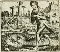 An illustration from Vorstelijcke warande der dieren : waer in de zeden-rijcke philosophie, poëtisch, morael, en historiael, vermakelijck en treffelijck wort voorgestelt : mit exempelen uyt de oude historien, in prose : ende uytleggingen, in rijm verklaert (1682)