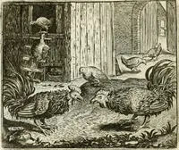 An illustration from Vorstelijcke warande der dieren : waer in de zeden-rijcke philosophie, poëtisch, morael, en historiael, vermakelijck en treffelijck wort voorgestelt : mit exempelen uyt de oude historien, in prose : ende uytleggingen, in rijm verklaert (1682)