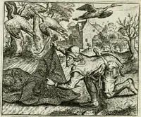 An illustration from Vorstelijcke warande der dieren : waer in de zeden-rijcke philosophie, poëtisch, morael, en historiael, vermakelijck en treffelijck wort voorgestelt : mit exempelen uyt de oude historien, in prose : ende uytleggingen, in rijm verklaert (1682)