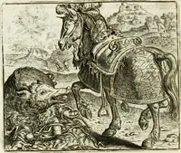 Picture 100 of 128 from Vorstelijcke warande der dieren : waer in de zeden-rijcke philosophie, poëtisch, morael, en historiael, vermakelijck en treffelijck wort voorgestelt : mit exempelen uyt de oude historien, in prose : ende uytleggingen, in rijm verklaert (1682), leaf 207