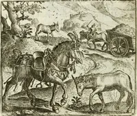 An illustration from Vorstelijcke warande der dieren : waer in de zeden-rijcke philosophie, poëtisch, morael, en historiael, vermakelijck en treffelijck wort voorgestelt : mit exempelen uyt de oude historien, in prose : ende uytleggingen, in rijm verklaert (1682)
