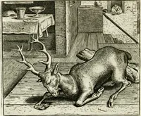 Picture 105 of 128 from Vorstelijcke warande der dieren : waer in de zeden-rijcke philosophie, poëtisch, morael, en historiael, vermakelijck en treffelijck wort voorgestelt : mit exempelen uyt de oude historien, in prose : ende uytleggingen, in rijm verklaert (1682), leaf 217