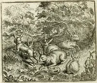 Picture 114 of 128 from Vorstelijcke warande der dieren : waer in de zeden-rijcke philosophie, poëtisch, morael, en historiael, vermakelijck en treffelijck wort voorgestelt : mit exempelen uyt de oude historien, in prose : ende uytleggingen, in rijm verklaert (1682), leaf 235