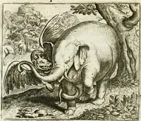 Picture 115 of 128 from Vorstelijcke warande der dieren : waer in de zeden-rijcke philosophie, poëtisch, morael, en historiael, vermakelijck en treffelijck wort voorgestelt : mit exempelen uyt de oude historien, in prose : ende uytleggingen, in rijm verklaert (1682), leaf 237