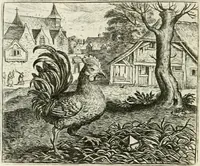 An illustration from Vorstelijcke warande der dieren : waer in de zeden-rijcke philosophie, poëtisch, morael, en historiael, vermakelijck en treffelijck wort voorgestelt : mit exempelen uyt de oude historien, in prose : ende uytleggingen, in rijm verklaert (1682)