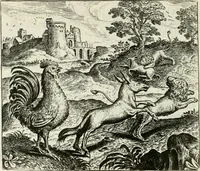 Picture 117 of 128 from Vorstelijcke warande der dieren : waer in de zeden-rijcke philosophie, poëtisch, morael, en historiael, vermakelijck en treffelijck wort voorgestelt : mit exempelen uyt de oude historien, in prose : ende uytleggingen, in rijm verklaert (1682), leaf 241