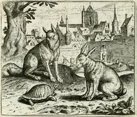 Picture 118 of 128 from Vorstelijcke warande der dieren : waer in de zeden-rijcke philosophie, poëtisch, morael, en historiael, vermakelijck en treffelijck wort voorgestelt : mit exempelen uyt de oude historien, in prose : ende uytleggingen, in rijm verklaert (1682), leaf 243