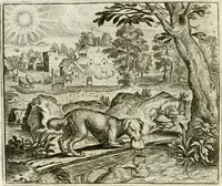 An illustration from Vorstelijcke warande der dieren : waer in de zeden-rijcke philosophie, poëtisch, morael, en historiael, vermakelijck en treffelijck wort voorgestelt : mit exempelen uyt de oude historien, in prose : ende uytleggingen, in rijm verklaert (1682)