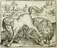 Picture 9 of 128 from Vorstelijcke warande der dieren : waer in de zeden-rijcke philosophie, poëtisch, morael, en historiael, vermakelijck en treffelijck wort voorgestelt : mit exempelen uyt de oude historien, in prose : ende uytleggingen, in rijm verklaert (1682), leaf 25