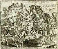 Picture 124 of 128 from Vorstelijcke warande der dieren : waer in de zeden-rijcke philosophie, poëtisch, morael, en historiael, vermakelijck en treffelijck wort voorgestelt : mit exempelen uyt de oude historien, in prose : ende uytleggingen, in rijm verklaert (1682), leaf 255