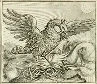 Picture 126 of 128 from Vorstelijcke warande der dieren : waer in de zeden-rijcke philosophie, poëtisch, morael, en historiael, vermakelijck en treffelijck wort voorgestelt : mit exempelen uyt de oude historien, in prose : ende uytleggingen, in rijm verklaert (1682), leaf 259