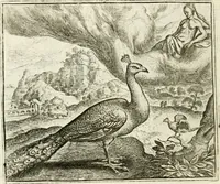 An illustration from Vorstelijcke warande der dieren : waer in de zeden-rijcke philosophie, poëtisch, morael, en historiael, vermakelijck en treffelijck wort voorgestelt : mit exempelen uyt de oude historien, in prose : ende uytleggingen, in rijm verklaert (1682)