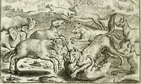 An illustration from Vorstelijcke warande der dieren : waer in de zeden-rijcke philosophie, poëtisch, morael, en historiael, vermakelijck en treffelijck wort voorgestelt : mit exempelen uyt de oude historien, in prose : ende uytleggingen, in rijm verklaert (1682)