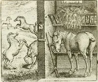 An illustration from Vorstelijcke warande der dieren : waer in de zeden-rijcke philosophie, poëtisch, morael, en historiael, vermakelijck en treffelijck wort voorgestelt : mit exempelen uyt de oude historien, in prose : ende uytleggingen, in rijm verklaert (1682)