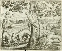 An illustration from Vorstelijcke warande der dieren : waer in de zeden-rijcke philosophie, poëtisch, morael, en historiael, vermakelijck en treffelijck wort voorgestelt : mit exempelen uyt de oude historien, in prose : ende uytleggingen, in rijm verklaert (1682)
