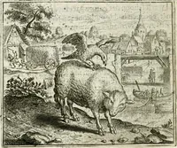 Picture 26 of 128 from Vorstelijcke warande der dieren : waer in de zeden-rijcke philosophie, poëtisch, morael, en historiael, vermakelijck en treffelijck wort voorgestelt : mit exempelen uyt de oude historien, in prose : ende uytleggingen, in rijm verklaert (1682), leaf 59