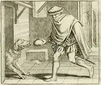 Picture 31 of 128 from Vorstelijcke warande der dieren : waer in de zeden-rijcke philosophie, poëtisch, morael, en historiael, vermakelijck en treffelijck wort voorgestelt : mit exempelen uyt de oude historien, in prose : ende uytleggingen, in rijm verklaert (1682), leaf 69