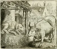 Picture 32 of 128 from Vorstelijcke warande der dieren : waer in de zeden-rijcke philosophie, poëtisch, morael, en historiael, vermakelijck en treffelijck wort voorgestelt : mit exempelen uyt de oude historien, in prose : ende uytleggingen, in rijm verklaert (1682), leaf 71