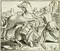 An illustration from Vorstelijcke warande der dieren : waer in de zeden-rijcke philosophie, poëtisch, morael, en historiael, vermakelijck en treffelijck wort voorgestelt : mit exempelen uyt de oude historien, in prose : ende uytleggingen, in rijm verklaert (1682)