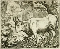 Picture 36 of 128 from Vorstelijcke warande der dieren : waer in de zeden-rijcke philosophie, poëtisch, morael, en historiael, vermakelijck en treffelijck wort voorgestelt : mit exempelen uyt de oude historien, in prose : ende uytleggingen, in rijm verklaert (1682), leaf 79