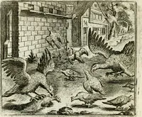 An illustration from Vorstelijcke warande der dieren : waer in de zeden-rijcke philosophie, poëtisch, morael, en historiael, vermakelijck en treffelijck wort voorgestelt : mit exempelen uyt de oude historien, in prose : ende uytleggingen, in rijm verklaert (1682)