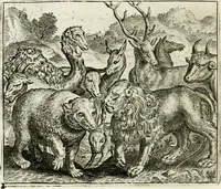 Picture 40 of 128 from Vorstelijcke warande der dieren : waer in de zeden-rijcke philosophie, poëtisch, morael, en historiael, vermakelijck en treffelijck wort voorgestelt : mit exempelen uyt de oude historien, in prose : ende uytleggingen, in rijm verklaert (1682), leaf 87