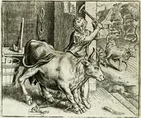An illustration from Vorstelijcke warande der dieren : waer in de zeden-rijcke philosophie, poëtisch, morael, en historiael, vermakelijck en treffelijck wort voorgestelt : mit exempelen uyt de oude historien, in prose : ende uytleggingen, in rijm verklaert (1682)