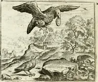 An illustration from Vorstelijcke warande der dieren : waer in de zeden-rijcke philosophie, poëtisch, morael, en historiael, vermakelijck en treffelijck wort voorgestelt : mit exempelen uyt de oude historien, in prose : ende uytleggingen, in rijm verklaert (1682)