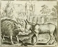 An illustration from Vorstelijcke warande der dieren : waer in de zeden-rijcke philosophie, poëtisch, morael, en historiael, vermakelijck en treffelijck wort voorgestelt : mit exempelen uyt de oude historien, in prose : ende uytleggingen, in rijm verklaert (1682)