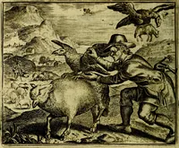 An illustration from Vorstelijcke warande der dieren : waer in de zeden-rijcke philosophie, poëtisch, morael, en historiael, vermakelijck en treffelijck wort voorgestelt : mit exempelen uyt de oude historien, in prose (1682)