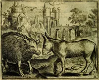 Picture 48 of 128 from Vorstelijcke warande der dieren : waer in de zeden-rijcke philosophie, poëtisch, morael, en historiael, vermakelijck en treffelijck wort voorgestelt : mit exempelen uyt de oude historien, in prose (1682), leaf 103