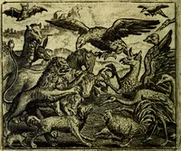 Picture 49 of 128 from Vorstelijcke warande der dieren : waer in de zeden-rijcke philosophie, poëtisch, morael, en historiael, vermakelijck en treffelijck wort voorgestelt : mit exempelen uyt de oude historien, in prose (1682), leaf 105