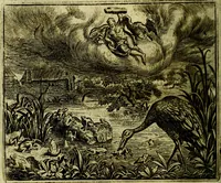 An illustration from Vorstelijcke warande der dieren : waer in de zeden-rijcke philosophie, poëtisch, morael, en historiael, vermakelijck en treffelijck wort voorgestelt : mit exempelen uyt de oude historien, in prose (1682)