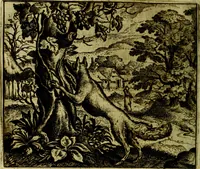 An illustration from Vorstelijcke warande der dieren : waer in de zeden-rijcke philosophie, poëtisch, morael, en historiael, vermakelijck en treffelijck wort voorgestelt : mit exempelen uyt de oude historien, in prose (1682)