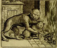 An illustration from Vorstelijcke warande der dieren : waer in de zeden-rijcke philosophie, poëtisch, morael, en historiael, vermakelijck en treffelijck wort voorgestelt : mit exempelen uyt de oude historien, in prose (1682)