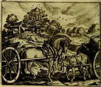 Picture 57 of 128 from Vorstelijcke warande der dieren : waer in de zeden-rijcke philosophie, poëtisch, morael, en historiael, vermakelijck en treffelijck wort voorgestelt : mit exempelen uyt de oude historien, in prose (1682), leaf 121