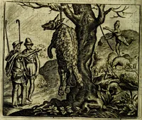 Picture 64 of 128 from Vorstelijcke warande der dieren : waer in de zeden-rijcke philosophie, poëtisch, morael, en historiael, vermakelijck en treffelijck wort voorgestelt : mit exempelen uyt de oude historien, in prose (1682), leaf 135