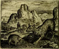 Picture 65 of 128 from Vorstelijcke warande der dieren : waer in de zeden-rijcke philosophie, poëtisch, morael, en historiael, vermakelijck en treffelijck wort voorgestelt : mit exempelen uyt de oude historien, in prose (1682), leaf 137