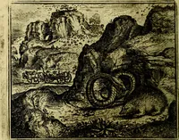 Picture 66 of 128 from Vorstelijcke warande der dieren : waer in de zeden-rijcke philosophie, poëtisch, morael, en historiael, vermakelijck en treffelijck wort voorgestelt : mit exempelen uyt de oude historien, in prose (1682), leaf 139