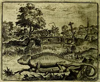 Picture 67 of 128 from Vorstelijcke warande der dieren : waer in de zeden-rijcke philosophie, poëtisch, morael, en historiael, vermakelijck en treffelijck wort voorgestelt : mit exempelen uyt de oude historien, in prose (1682), leaf 141