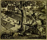Picture 71 of 128 from Vorstelijcke warande der dieren : waer in de zeden-rijcke philosophie, poëtisch, morael, en historiael, vermakelijck en treffelijck wort voorgestelt : mit exempelen uyt de oude historien, in prose (1682), leaf 149
