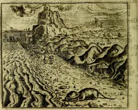 Picture 73 of 128 from Vorstelijcke warande der dieren : waer in de zeden-rijcke philosophie, poëtisch, morael, en historiael, vermakelijck en treffelijck wort voorgestelt : mit exempelen uyt de oude historien, in prose (1682), leaf 153