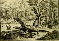 An illustration from Vorstelijcke warande der dieren : waer in de zeden-rijcke philosophie, poëtisch, morael, en historiael, vermakelijck en treffelijck wort voorgestelt : mit exempelen uyt de oude historien, in prose (1682)