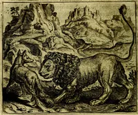 Picture 80 of 128 from Vorstelijcke warande der dieren : waer in de zeden-rijcke philosophie, poëtisch, morael, en historiael, vermakelijck en treffelijck wort voorgestelt : mit exempelen uyt de oude historien, in prose (1682), leaf 167