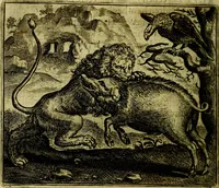 Picture 81 of 128 from Vorstelijcke warande der dieren : waer in de zeden-rijcke philosophie, poëtisch, morael, en historiael, vermakelijck en treffelijck wort voorgestelt : mit exempelen uyt de oude historien, in prose (1682), leaf 169