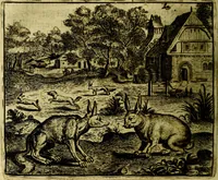 Picture 83 of 128 from Vorstelijcke warande der dieren : waer in de zeden-rijcke philosophie, poëtisch, morael, en historiael, vermakelijck en treffelijck wort voorgestelt : mit exempelen uyt de oude historien, in prose (1682), leaf 173