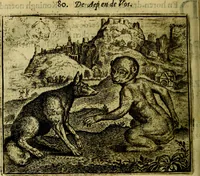 An illustration from Vorstelijcke warande der dieren : waer in de zeden-rijcke philosophie, poëtisch, morael, en historiael, vermakelijck en treffelijck wort voorgestelt : mit exempelen uyt de oude historien, in prose (1682)