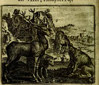 An illustration from Vorstelijcke warande der dieren : waer in de zeden-rijcke philosophie, poëtisch, morael, en historiael, vermakelijck en treffelijck wort voorgestelt : mit exempelen uyt de oude historien, in prose (1682)